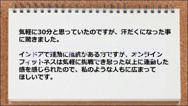 気軽に挑戦できる, 思った以上に運動した感じがする