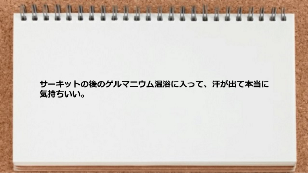 サーキットの後のゲルマニウム温浴は汗が出て気持ちいい。