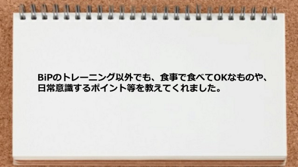 食事で食べてOKなものや、日常意識するポイントが学べました。