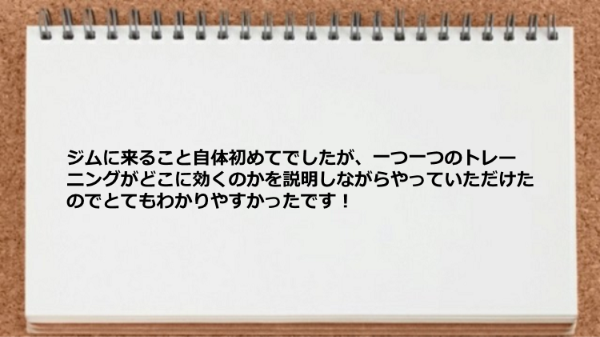 一つ一つのトレーニングがどこに効くのかを説明してくれたのでわかりやすかった。