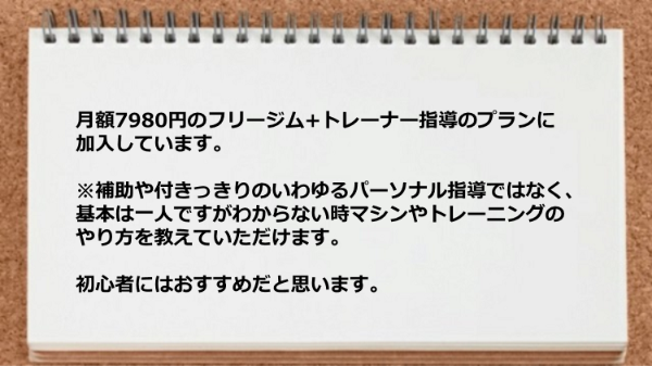 フリージムプランでマシンやトレーニングのやり方を教えてもらえます。