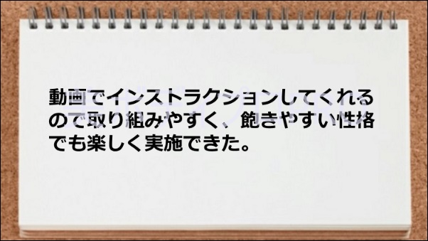 動画でのインストラクションが役立った