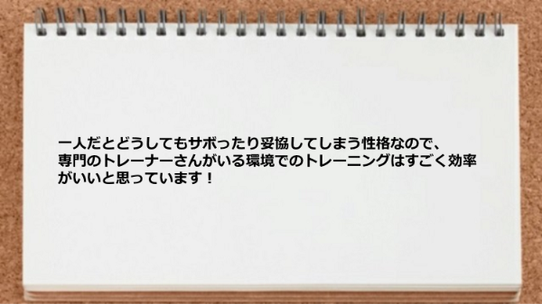 一人だとサボったり妥協してしまう性格なのでトレーナーがいる環境でのトレーニングは効率がいい