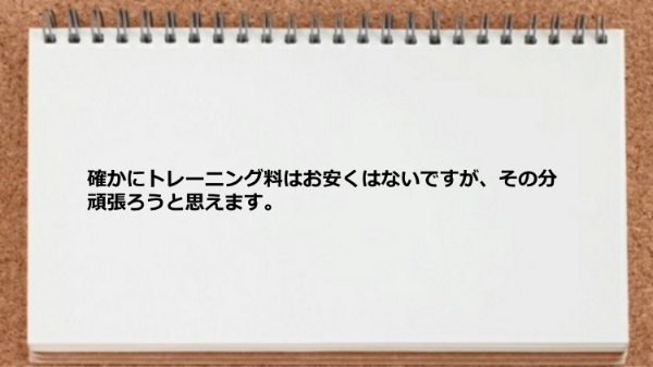 費用が高い