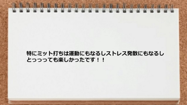 ミット打ちは運動にもなるしストレス発散にもなり楽しめました